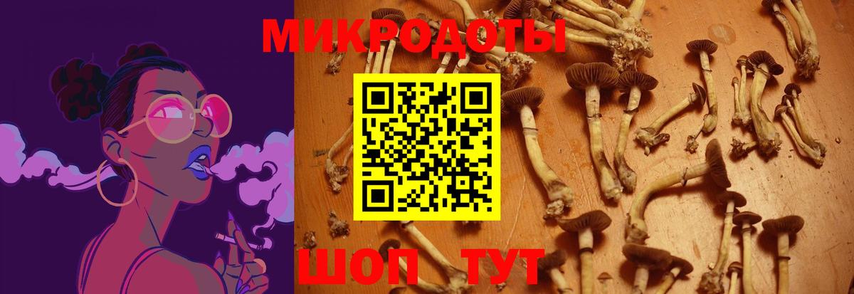 Галлюциногенные грибы Magic Shrooms Усть-Кут